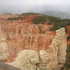 Twisted Celtic Knots [Orig.]