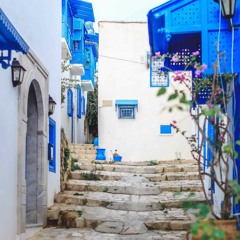 تراث تونسي