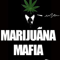 Marijuana Mafia M2 -my Dreams