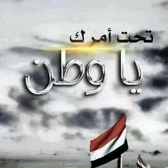 المدن ..عماد عبدالحليم