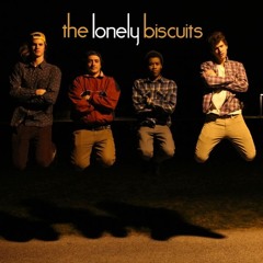 The Lonely Biscuits - Chasing Echoes (smile.e remix)
