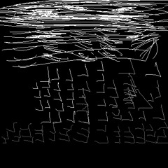 Undiscovered Diddies