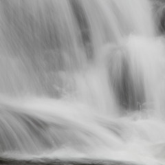 Post Digest Jungle Mix