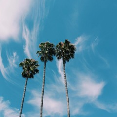 Command Q - Blood From The Stone (Kuren Flip)