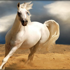 Tulajdonképpen, Puszi Együttes