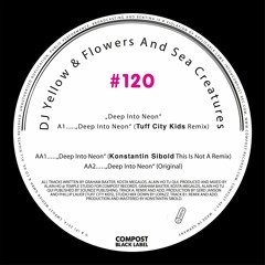DJ Yellow & Flowers and Sea Creatures "Deep Into Neon" Compost Records