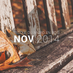 NOVEMBRE 2014 - L'école du micro en bois
