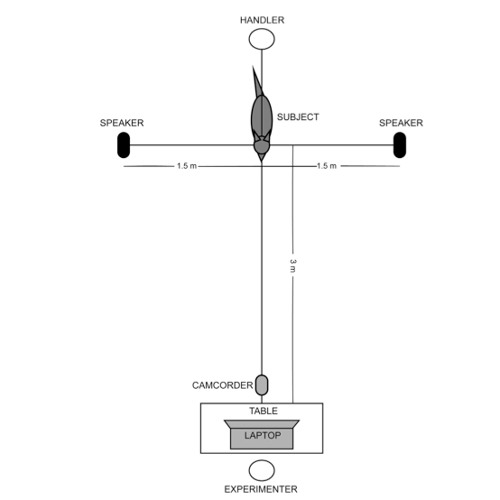 Stream Dogs hear our words and how we say them by io9 | Listen online