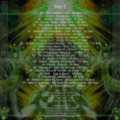 40 - The Darkface - Mechanikal Plot -  172 Bpm