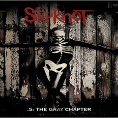 Slipknot - Devil in I (Guitar Cover)