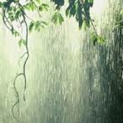 Linguagem do Comando