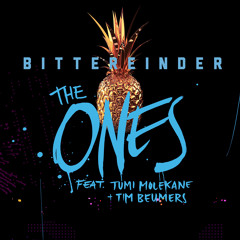 The Ones Ft. Tumi Molekane & Tim Beumers