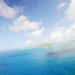 Carpe diem-その日を摘め-