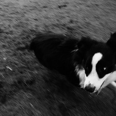 Eli and Jordan (friends for life - interlude)