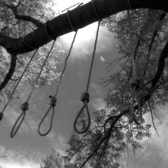 The Hanging Tree - Mockingjay (Cover)