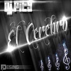 11.GUAYA GUAYA  - DJ PITY