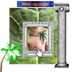 MUSCLƩS CΛVƩRN #18 | VN☾IUS