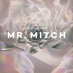 3 Mr. Mitch – Intense Faces