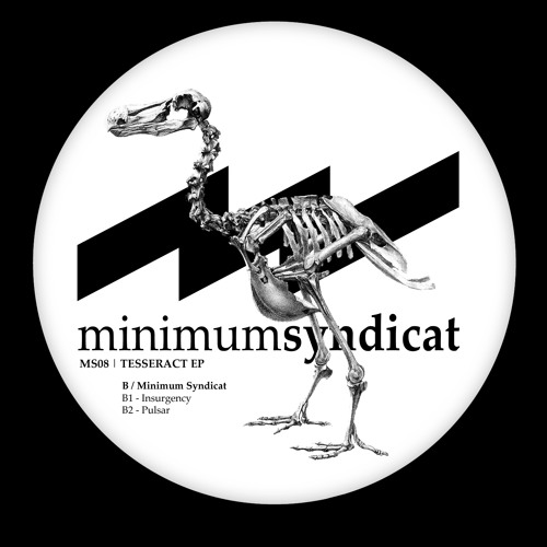 Minimum Syndicat - Pulsar (MS08)