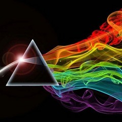education we dont need u (piNkfloyd Remix)