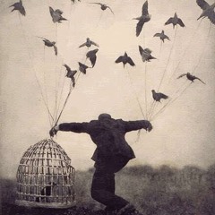 Esta Vez - Demente Senil & Benjazz | DEMENTEBEATS.