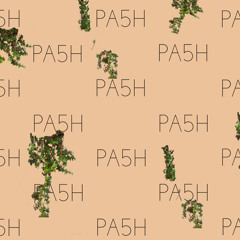 PA5H