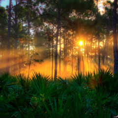 Beautiful Sunset [Ethnic Deep House] Ft. Magicmusic