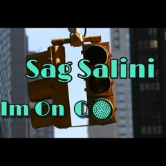 Sag Salini Im On Go