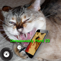 Unreasonably Hard 23