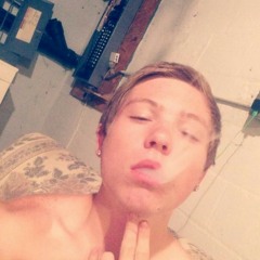 Freestyle - Rottweiler