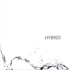 HYBRID - Lily