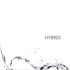 Lilyoid
