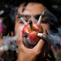 Alhasen Oksan Omenoita/mukana Pelkkä Hippi