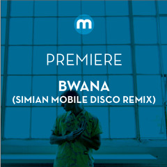 Premiere: Bwana 'Flute Dreams' (Siman Mobile Disco Remix)