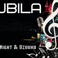 Dj Mix Night & Dzound - Zubila ( Out Now )