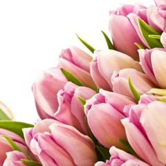 (69)(الْحَاقَّةٌُِ)﷽ الْحَاقَّةُ (1) مَا الْحَاقَّةُ (2) وَمَا أَدْرَاكَ مَا الْحَاقَّةُ (3)