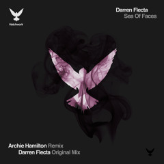 Darren Flecta 'Sea Of Faces' Archie Hamilton Remix