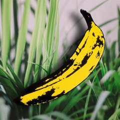 Matter/Banana