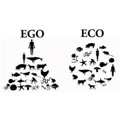 Vana Imago - Sintesi (CLASSIC 1995)