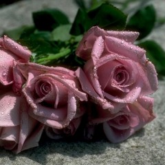 (67)(الْمُلْكُ)﷽ تَبَارَكَ الَّذِي بِيَدِهِ الْمُلْكُ وَهُوَ عَلَىٰ كُلِّ شَيْءٍ قَدِيرٌ (1)