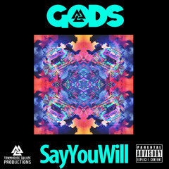 SayYouWill Feat. D'Mello (Prod. by DJI)