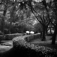 Cypria - Out In The Rain