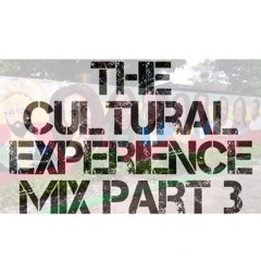 Cultural Experience Pt.3