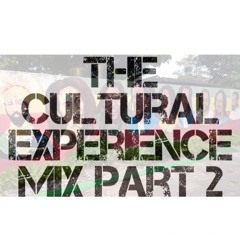 Cultural Experience Pt.2