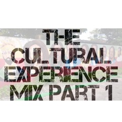 Cultural Experience Pt.1