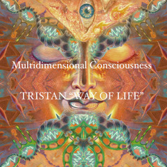 Tristan - Multi-dimensional Consciousness