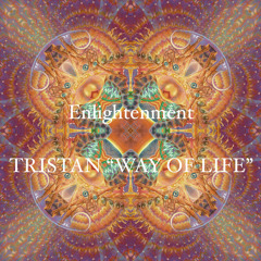 Tristan - Enlightenment