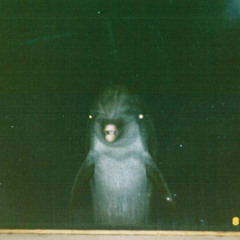 Halloween is Black as Night it Seems (Jackson C. Frank)