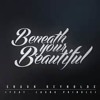 Beneath Your Beautiful Labrinth & Emeli Sande (Cover)