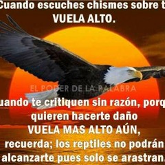 El Tequilita (RICARDO SUNTAXI )